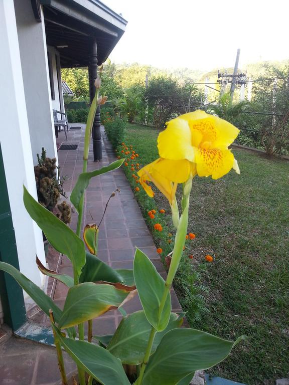 Kandy Holiday Home Esterno foto