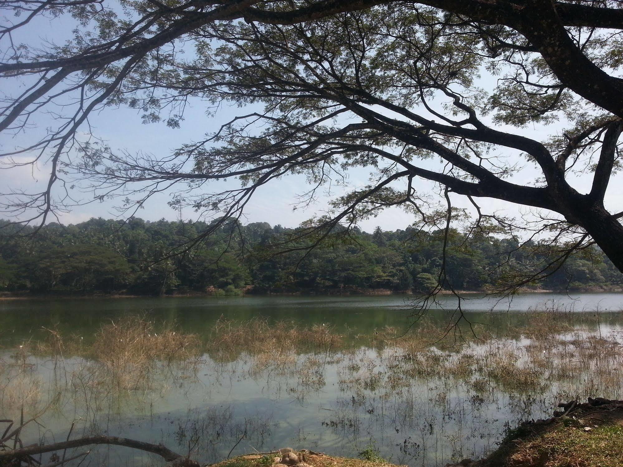 Kandy Holiday Home Esterno foto